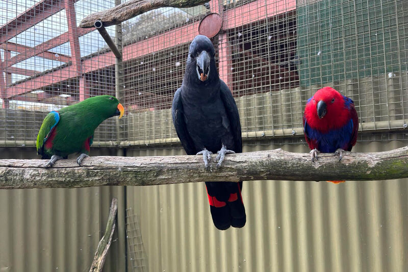Ballarat Bird World