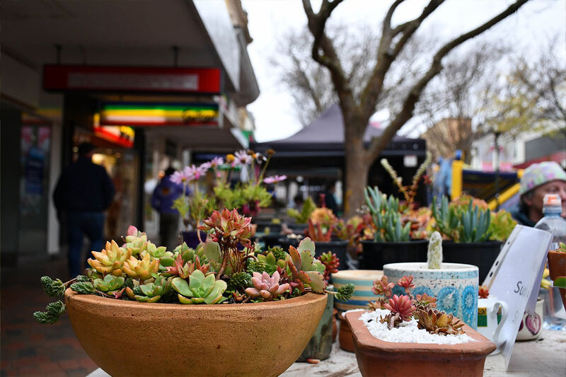 Bridge Mall Farmers Market