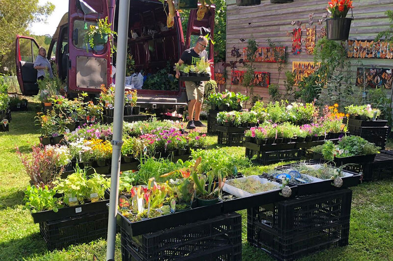 Creswick Market