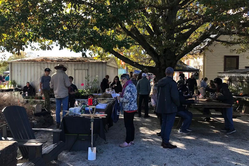 Creswick Market