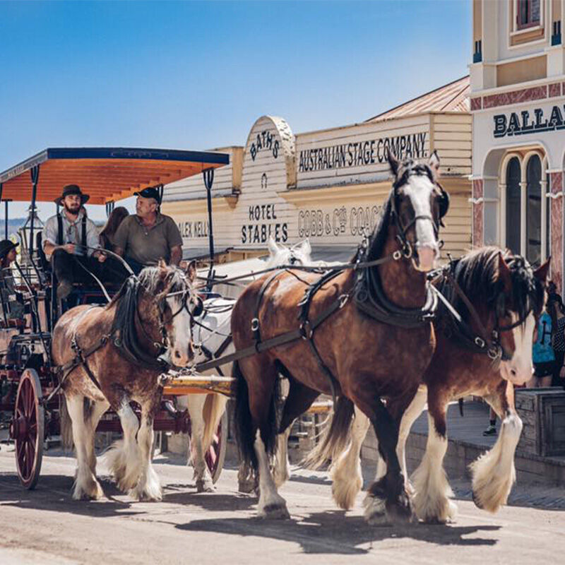 Sovereign Hill Ballarat - Lake Burrumbeet Caravan Park