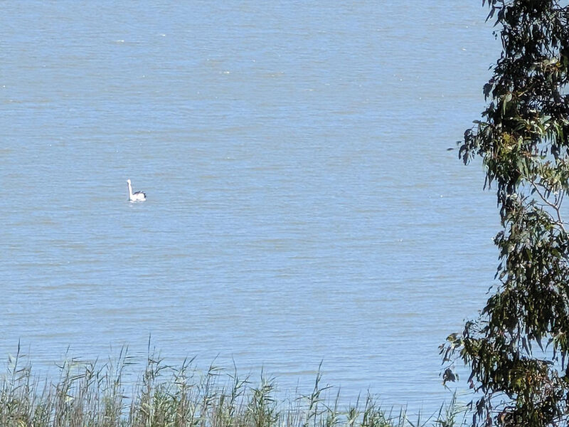 About Us - Lake Burrumbeet Caravan Park
